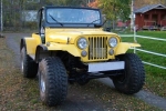 CJ5 CJ8