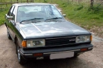 BLUEBIRD (910)