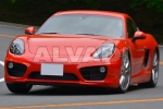 CAYMAN (981)