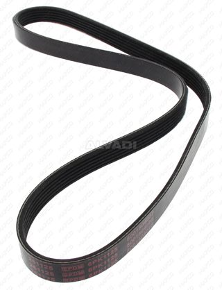 Multi V Drive Belt 6PK1123 Gates 06A145933D 036145933Q 5750GE 5750VT 46533490